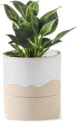 Nihow Ceramic Self Watering Plant Pot for Indoor Plants,6 Inch,Black White | Planter with Cotton Wick, Drainage Hole & Water Storage Plus, Cylinder Round Flower Pot, For Succulent/Herbs/Violets - Image 12