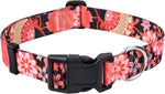 Mihqy pet collar displaying the quick-release plastic buckle