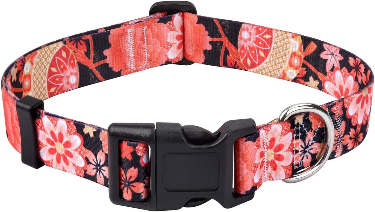 Mihqy pet collar displaying the quick-release plastic buckle