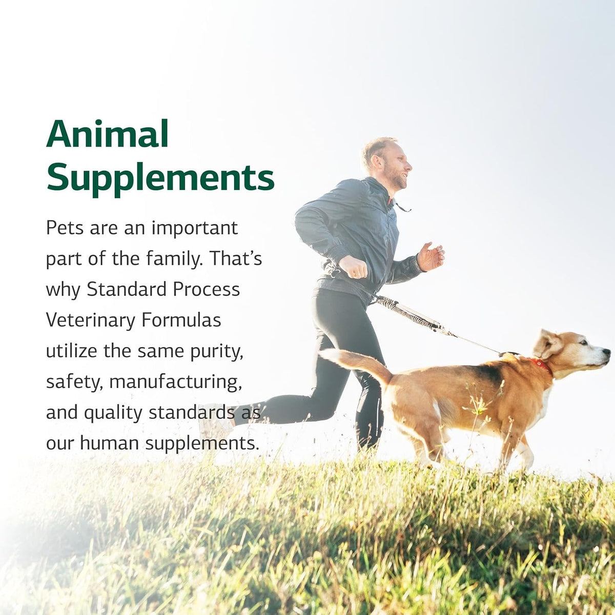 Authentic Standard Process pet care vitamins for Indian pet owners