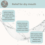 Xylify Happy Teeth peppermint lozenges back label details