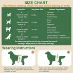 Side angle view of the fifty pack small size male dog bands packaging