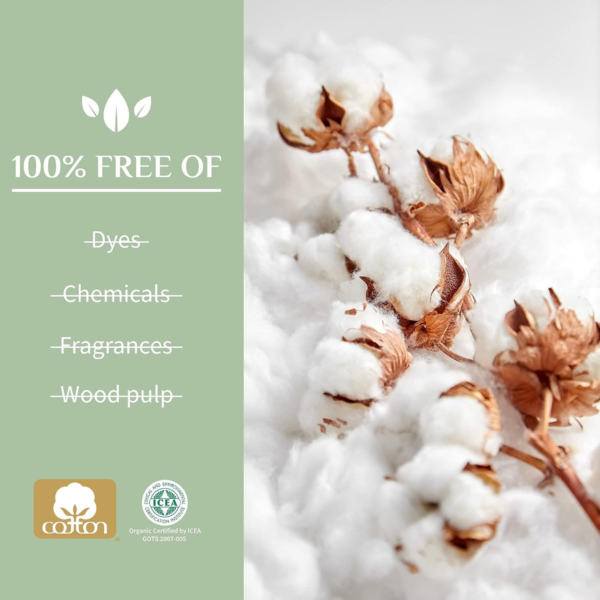 100 percent certified organic cotton core visualization