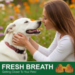 Digestive enzymes and probiotics soft chews for dog gut health.
