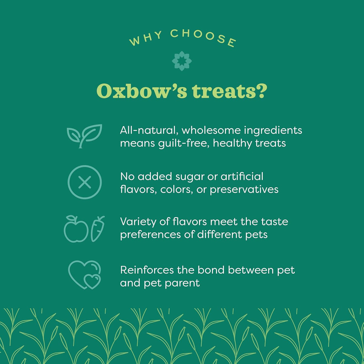 Oxbow premium guinea pig and rabbit treats made in USA