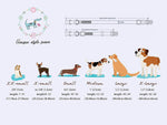 Unique Style Paws blue stripe collar for medium dogs