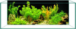 Fade resistant durable PVC fish tank backdrop for clear underwater aesthetics.