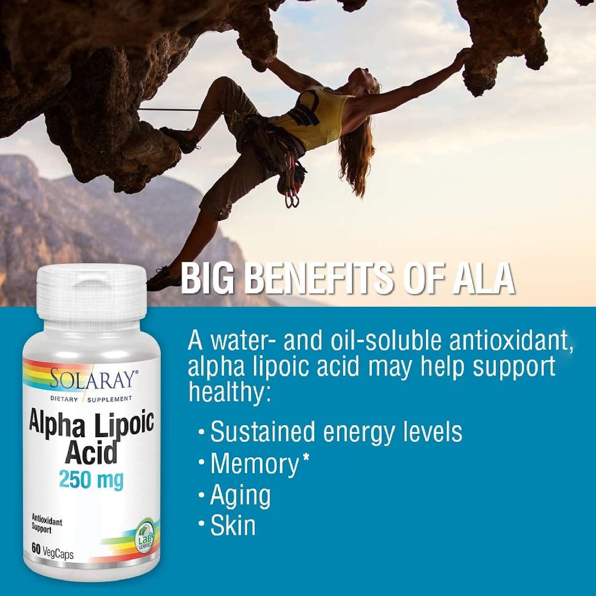 Solaray Alpha Lipoic Acid vegetarian capsules visual