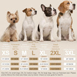 XPUDAC imported pet nightwear garment laid flat to show full measurements and sizing scale.