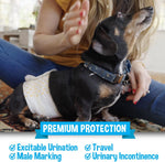 Bodhi Dog male dog diapers detailing the leak proof elastic edges