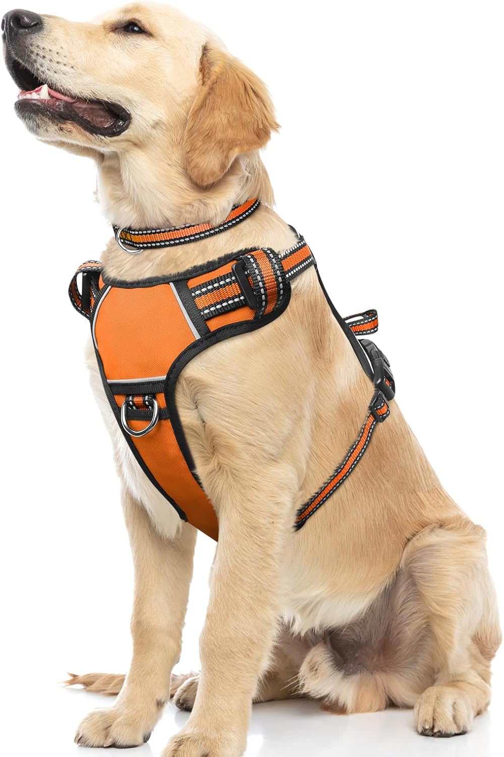WINSEE No Pull Dog Harness orange front view imported dog vest