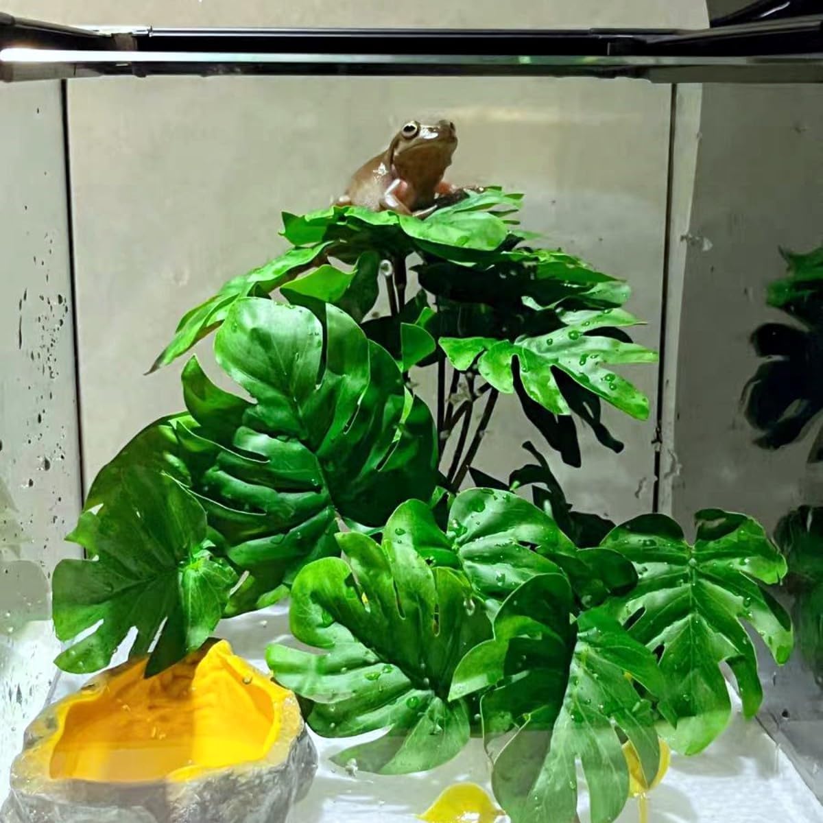 Side profile of Keruideng artificial plant for snake tanks