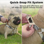 Adjustable no pull dog harness with metal D-rings
