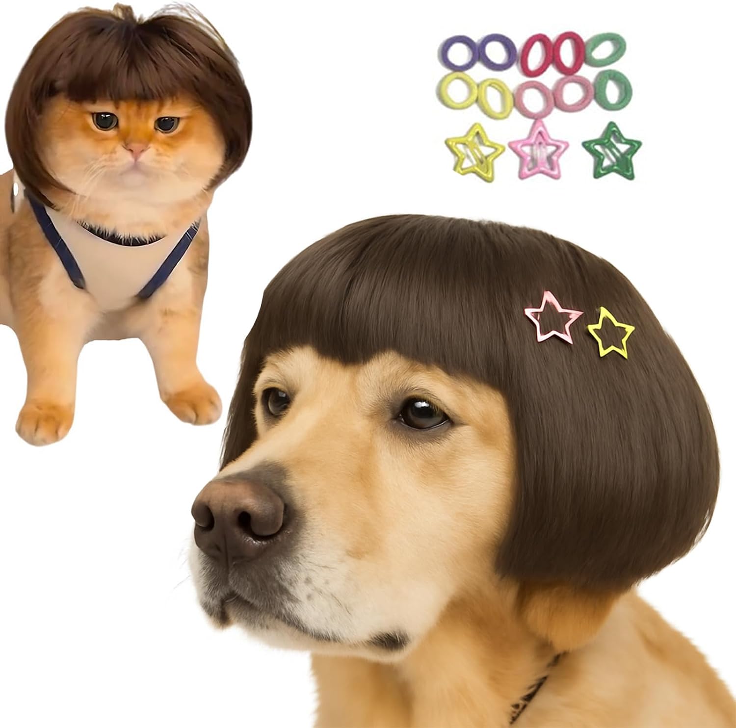 Lamiaraga DIY funny pet wig front view on a medium dog