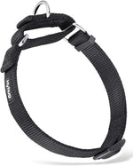 Hyhug Martingale Collar for Dogs Large Green |Escape - Proof Heavy Duty Nylon Durable No Pull, Ideal for Training & Daily Walks - Image 14