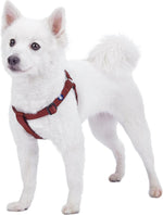 Blueberry Pet Essentials small step-in dog harness in Fired Brick color front view