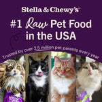 Stella and Chewys chick chick chicken freeze dried cat food package size details view