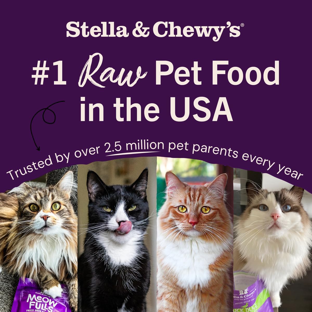 Stella and Chewys chick chick chicken freeze dried cat food package size details view