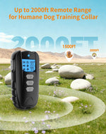Rechargeable components for dog shock collar system