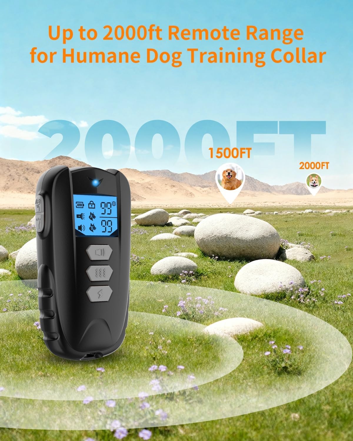 Rechargeable components for dog shock collar system