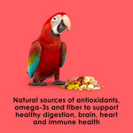 Macaw bird eating Kaytee Fiesta Nutritious and Fun Blend
