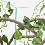 Set of two Coolrunner reptile vines including 8ft and 6ft lengths