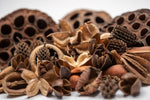 Close up of diverse seed pods for aquarium water conditioning