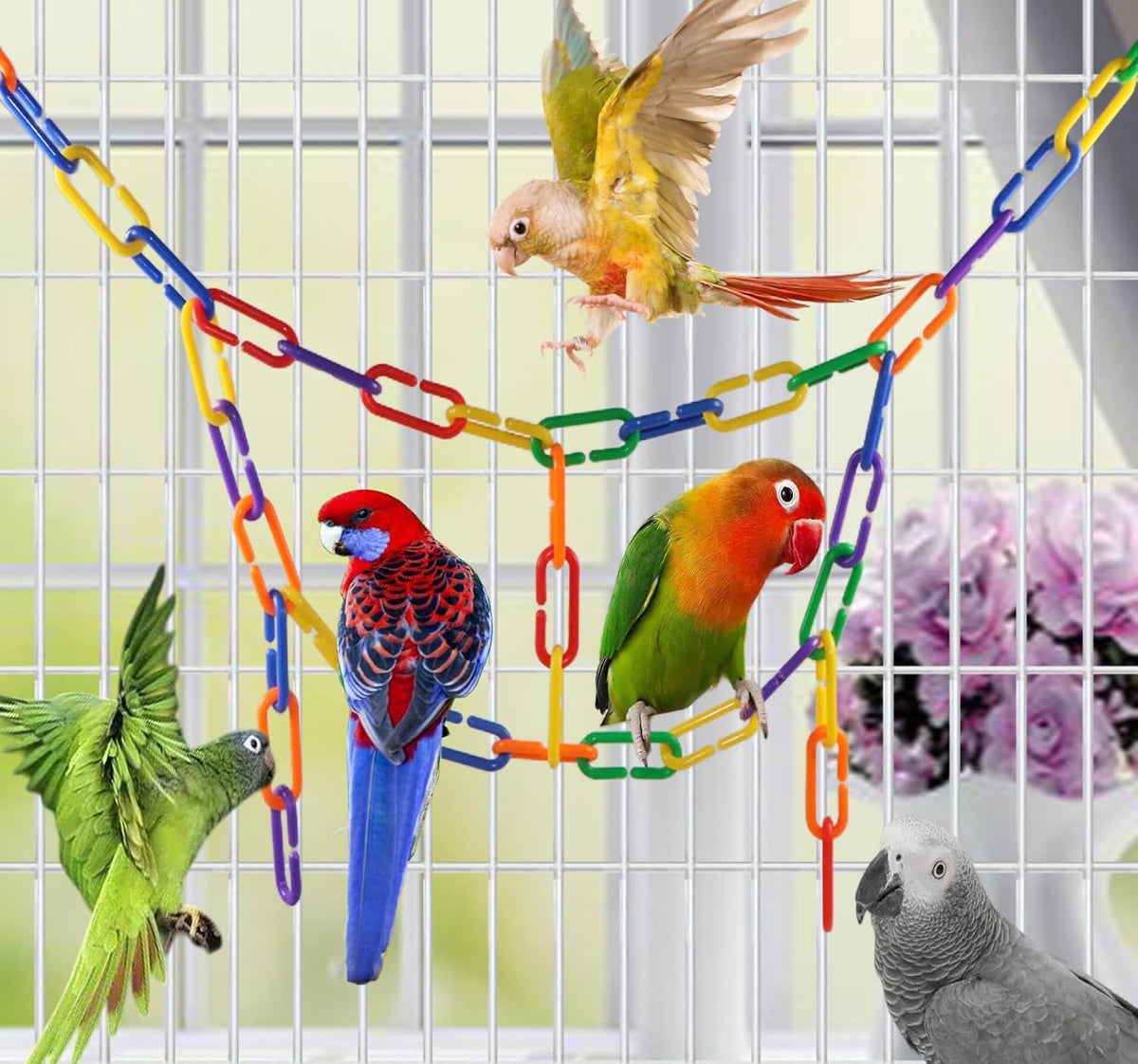 Assorted rainbow color plastic hooks for interactive pet toys and sensory play.