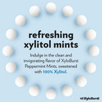 Aspartame free xylitol mints by Xyloburst showing keto and vegan certification logos
