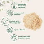 Micro Ingredients organic lions mane mushroom powder fine textured scoop