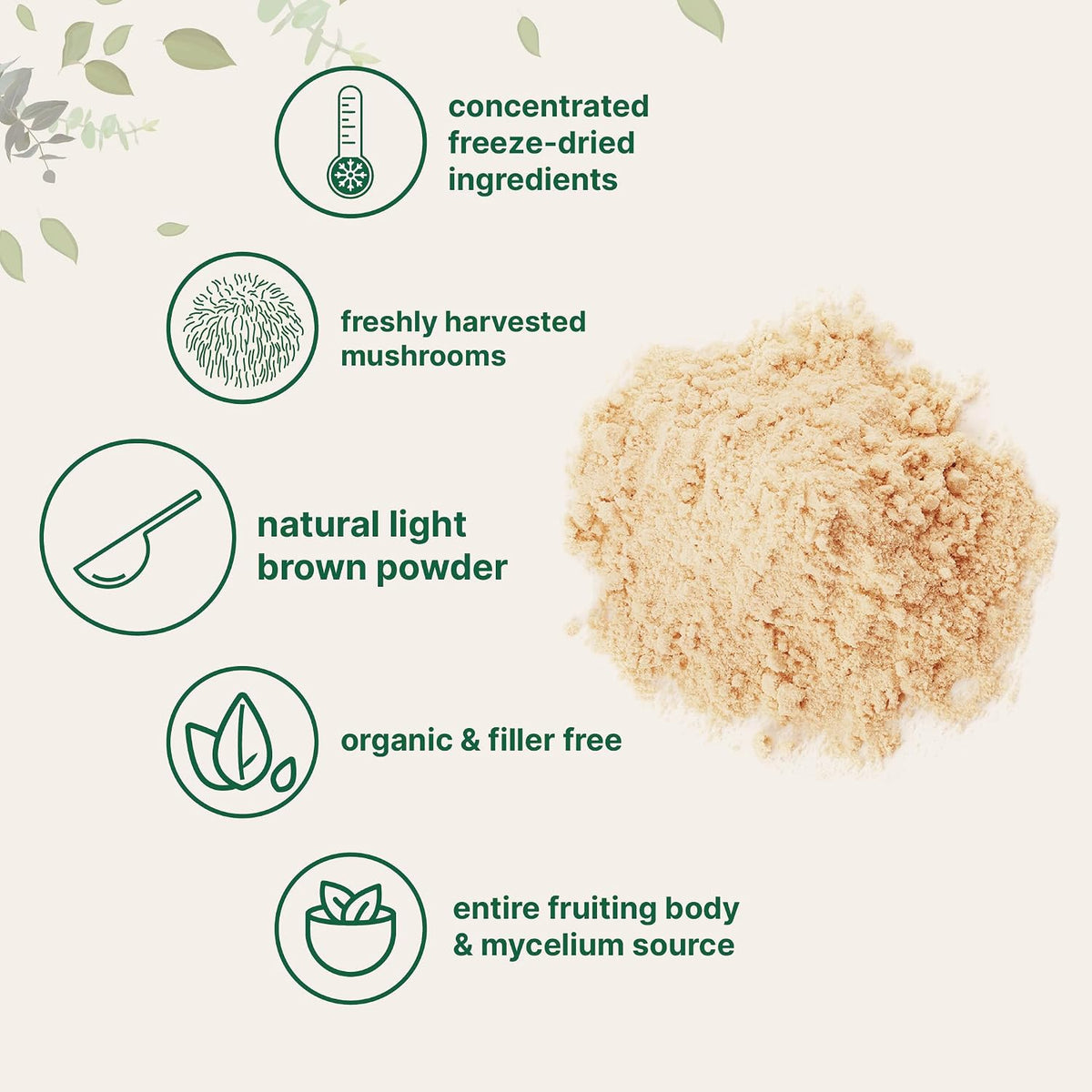 Micro Ingredients organic lions mane mushroom powder fine textured scoop
