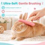 Detachable guinea pig brush hair remover tool