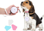 Small dog being walked with blue retractable leash in park
