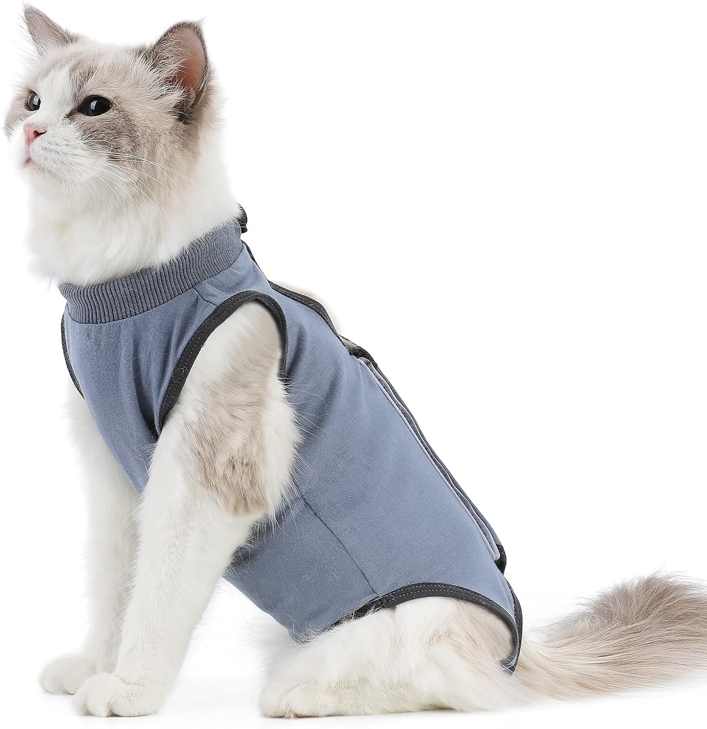 Kzrfojy Cat Surgery Recovery Suit in grey blue color front view on a cat