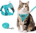 Complete Wanheart pet walking kit including emerald vest harness and matching leash