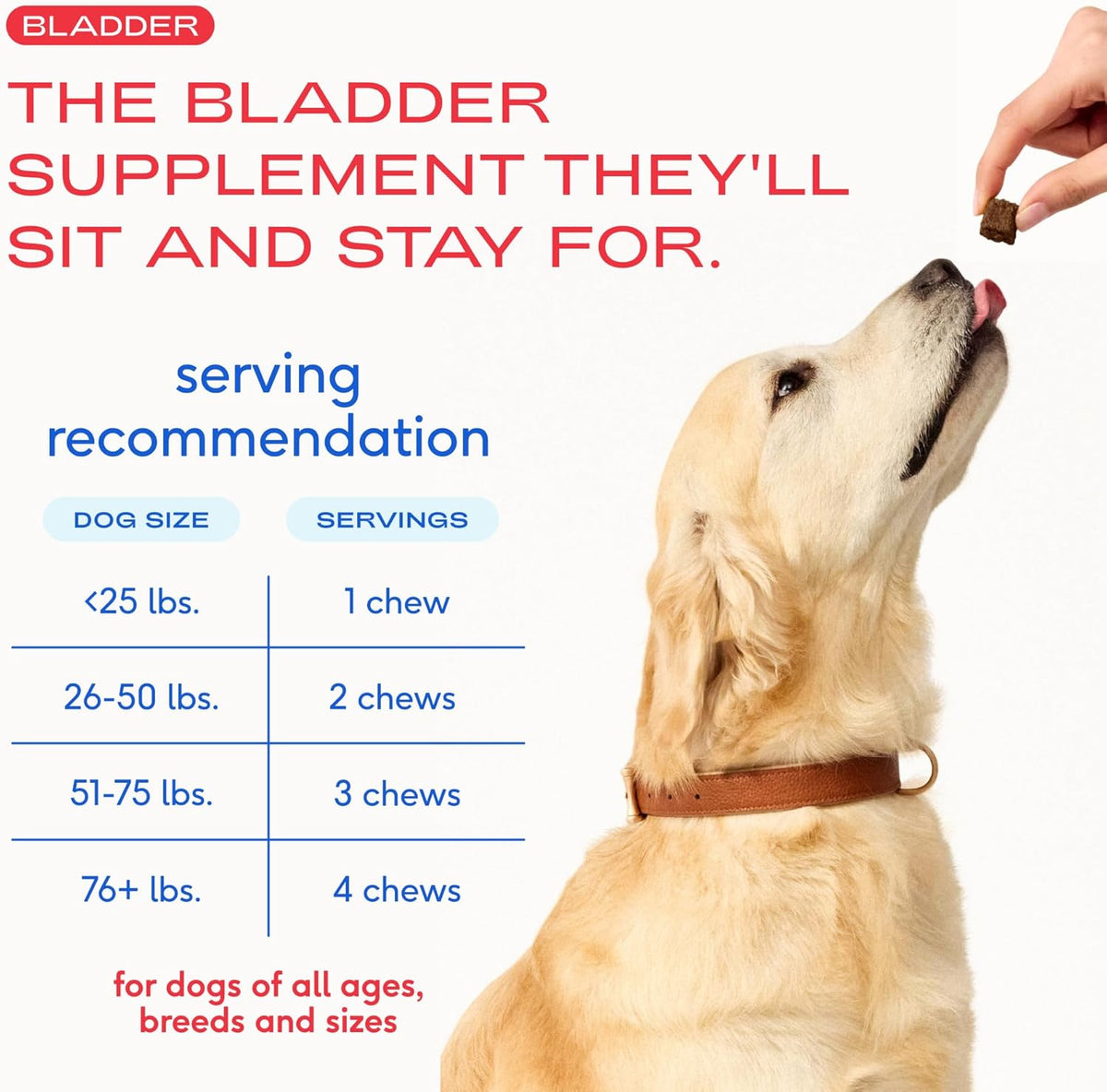 Premium Native Pet air dried bladder function chews displayed on a clean white background.