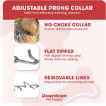 Downtown Pet Supply adjustable dog collar showing removable steel links