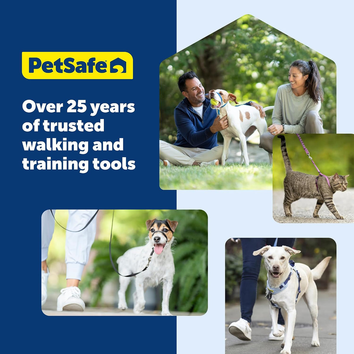 PetSafe Easy Walk Harness, No Pull Dog Harness, Charcoal Gray, Medium/Large | Patented Martingale Loop Gives Gradual Shoulder Pressure to Stop Pulling, Front-Chest Leash Clip Prevents Gagging - Image 9