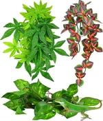 Katumo Reptile Plants 3 piece set for terrariums