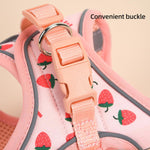 Flymind small pet harness strawberry print with five feet matching nylon leash.