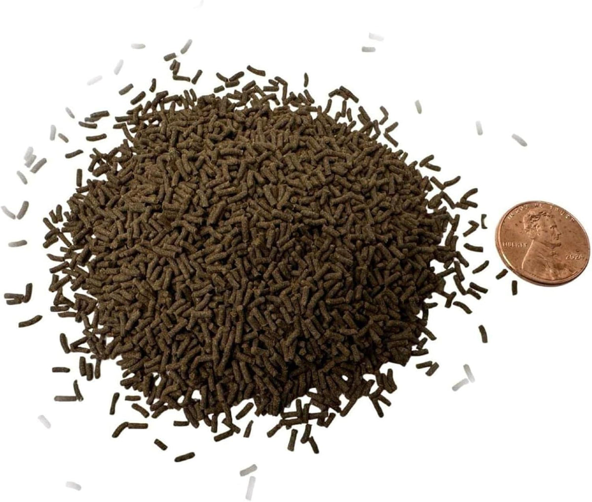Northfin DynariX sustainable black soldier fly larvae fish food bottle