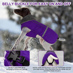 Detailed view of Doglay dog jacket elastic hind leg straps