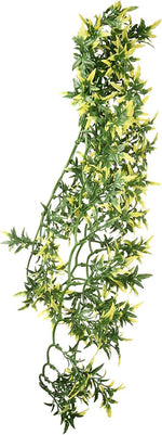 Detailed leaf structure of Exo Terra Mandarin plant