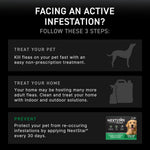 NEXTSTAR long lasting monthly flea preventive drops for large canines