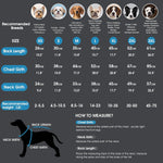 Asenku waterproof dog coat showing metal snap button closure