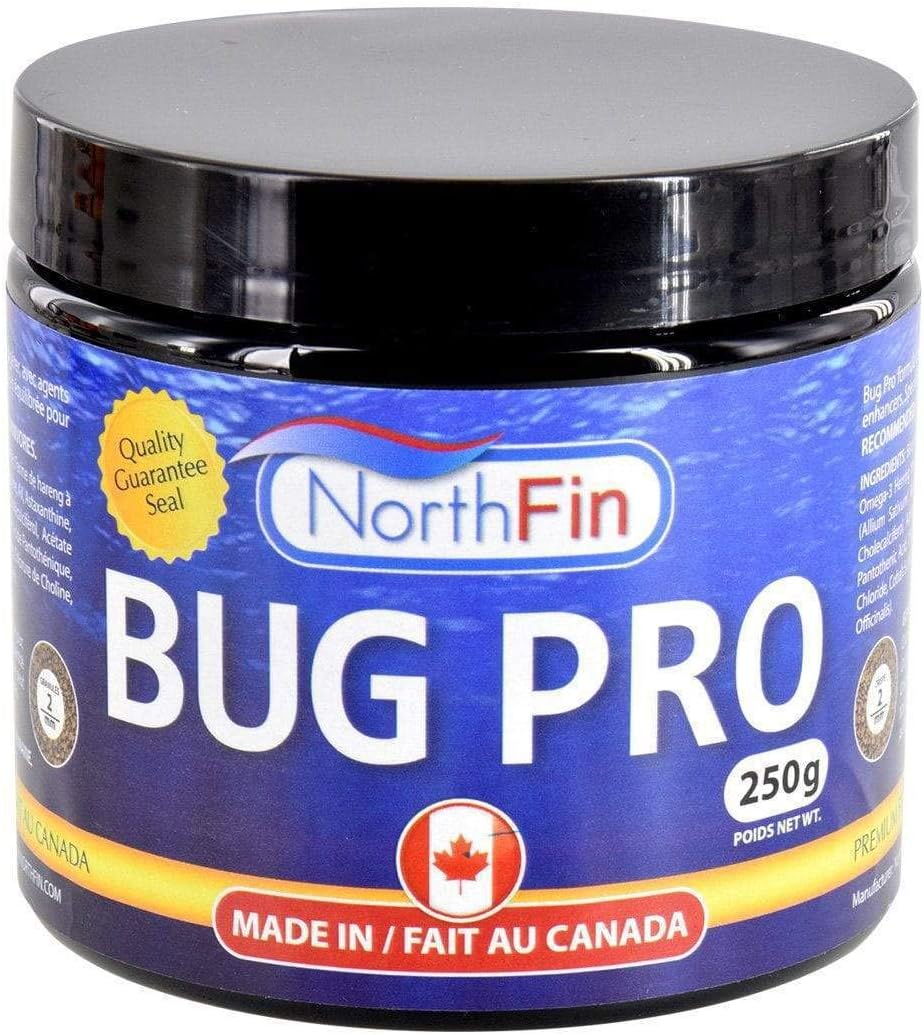 Northfin Bug Pro commercial fish food display setup