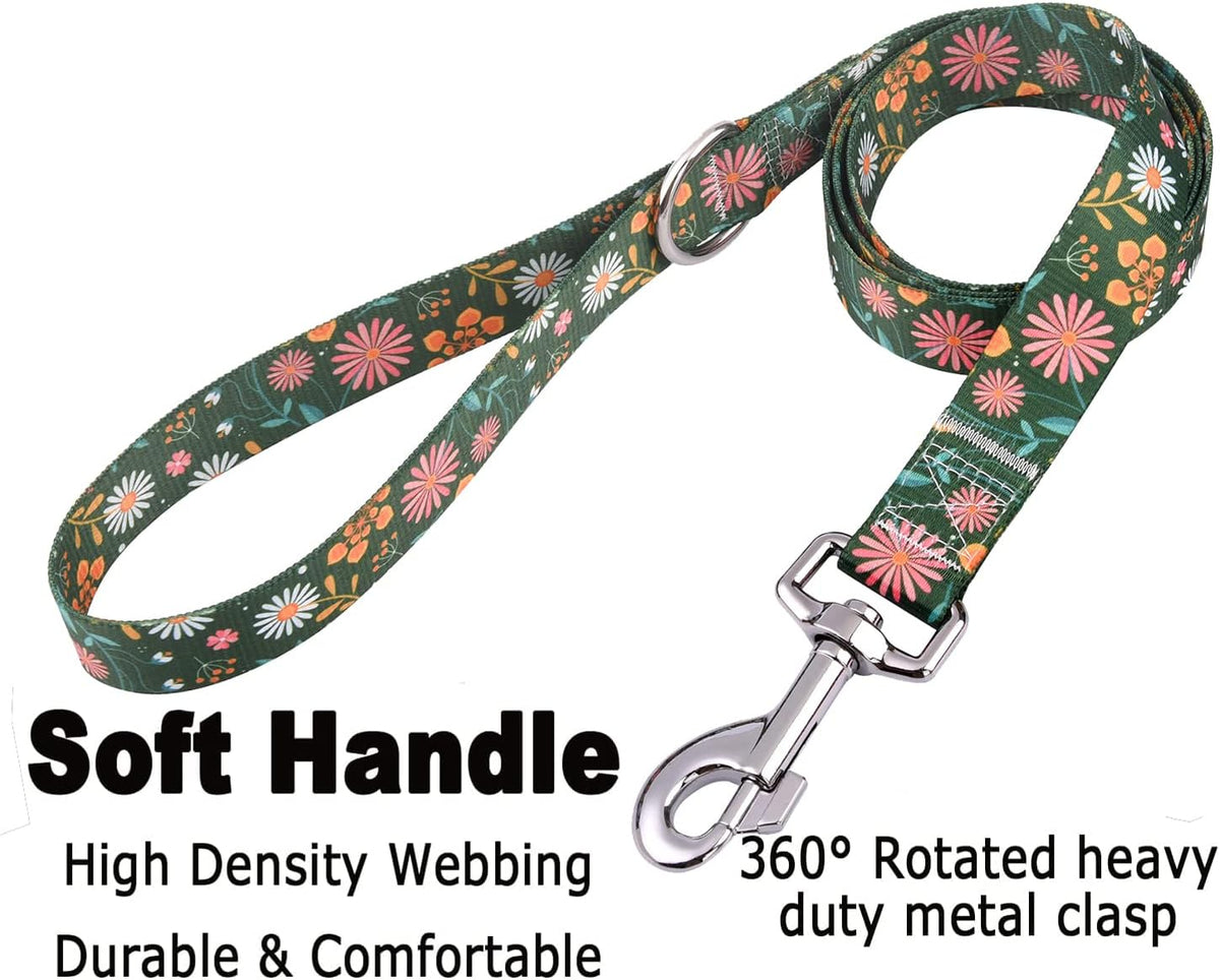 Mihqy adjustable pet collar buckle detail