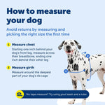 PetSafe training harness packaging and tags