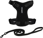 Voyager Escape-Proof Step-in Lock Cat Harness & 5ft Neoprene-Handle Leash Set All-Weather Mesh with Reflective Stitching for Small to Large Cats by Best Pet Supplies, Lime (327), XS - Image 14