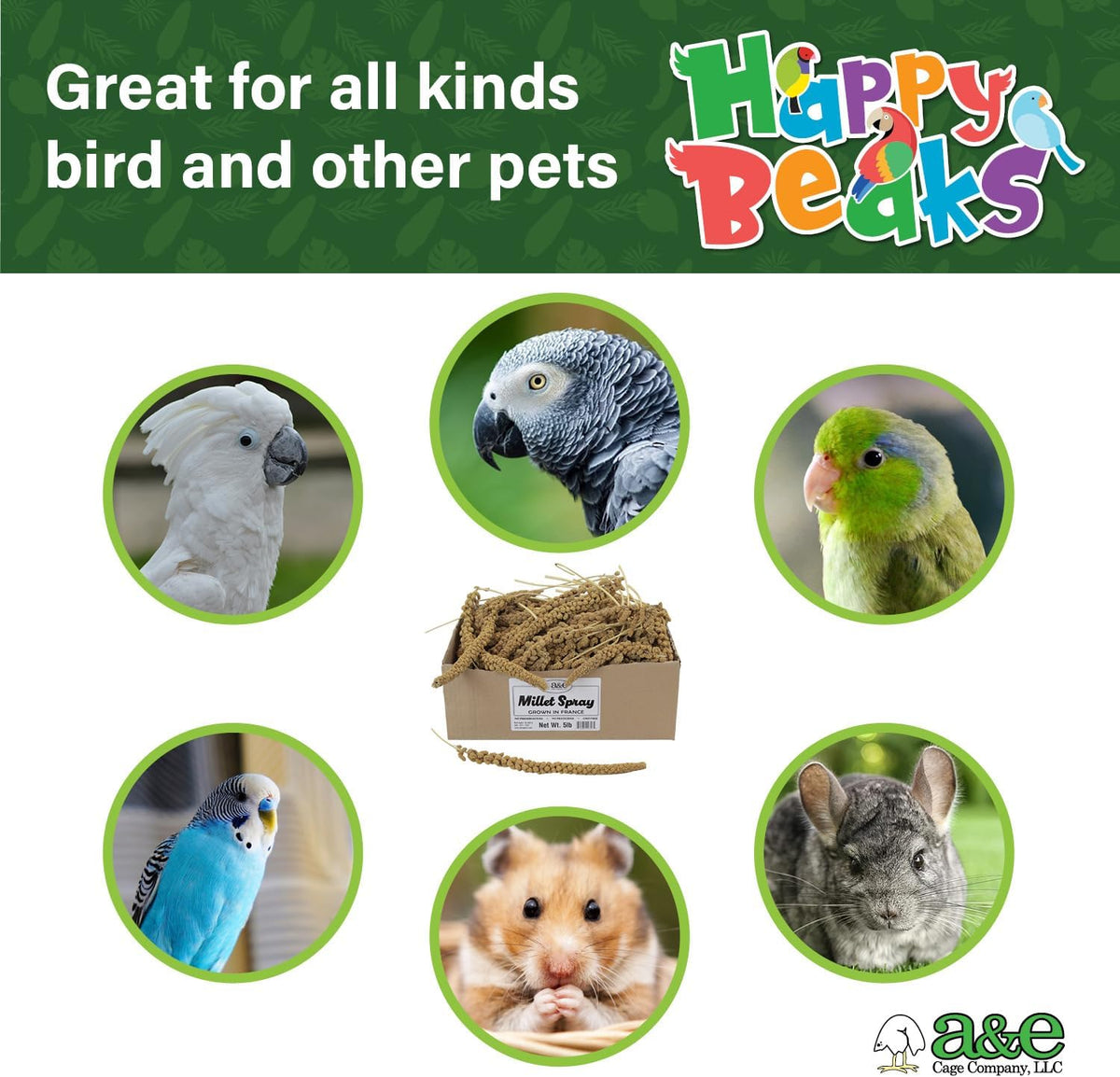 Healthy bird treat sprays for budgies and parakeets